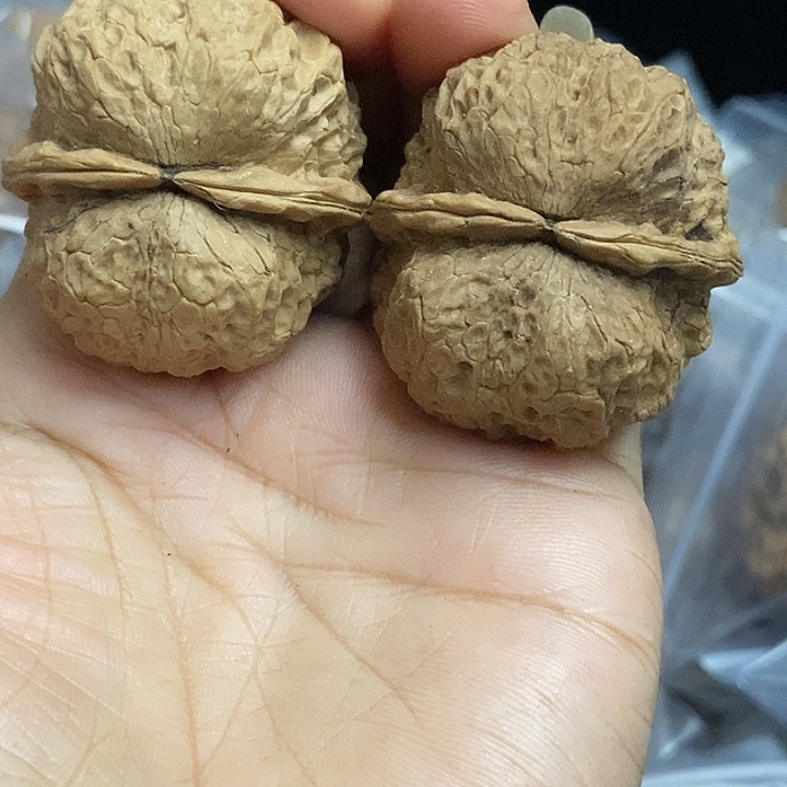 把件文玩核桃云南铁核桃基地23