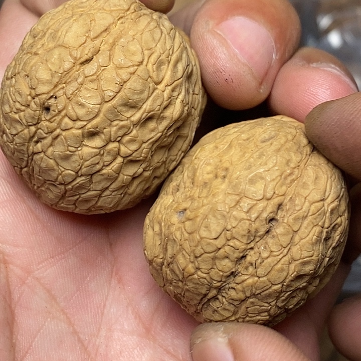 把件文玩核桃志成云铁文玩59