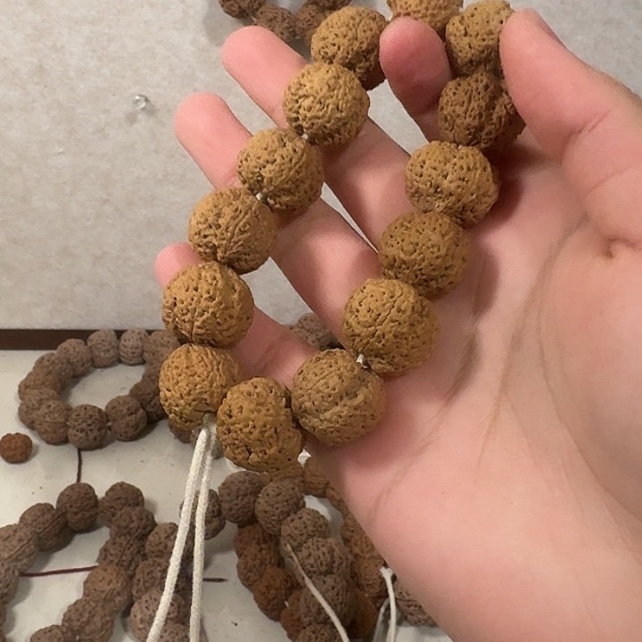 范***志金刚菩提吊坠阿姨菠萝蜜