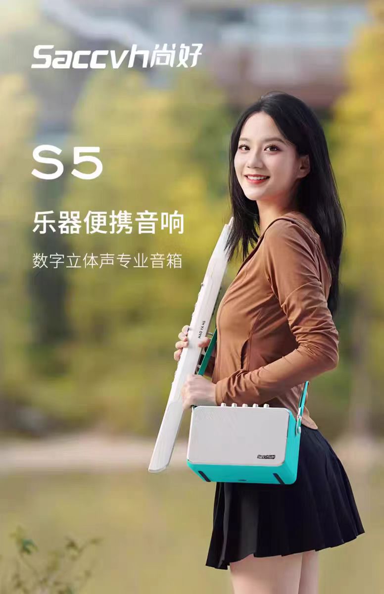 尚好（SACCVH）音响S5电吹管便携户外音响