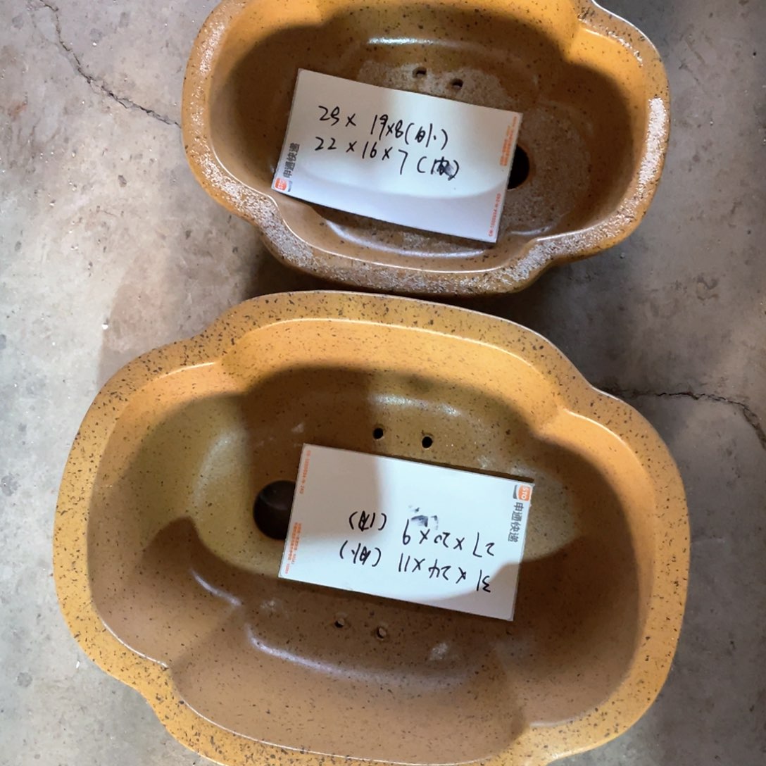 紫砂花盆猫*紫砂花是最美丽最