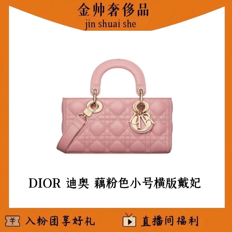 99新 DIOR/迪奥 藕粉色/小号/横版戴妃/单肩包/B5735