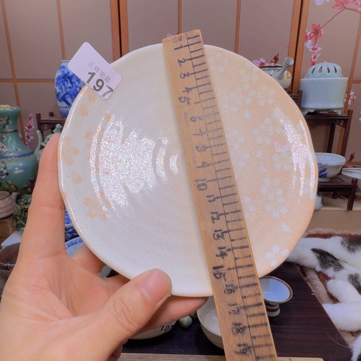 碗197啊啊啊啊啊啊啊啊啊啊啊啊