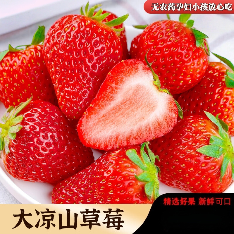 c四川大凉山露天种植牛奶草莓果园新鲜香甜多汁应季孕妇水果