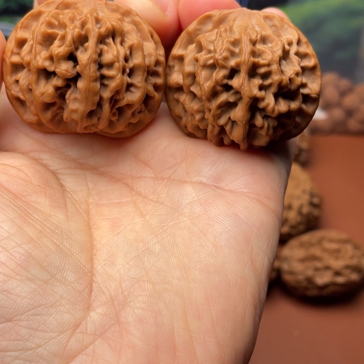 ****文玩核桃吊坠秦核等人的故事也在这里