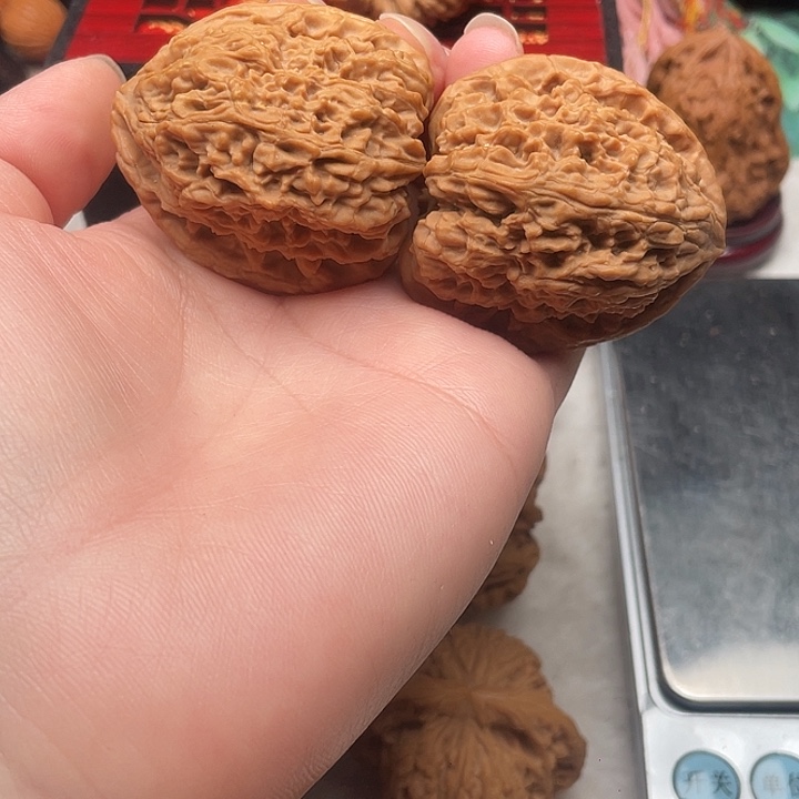 S***y高炮40/43 克重44克 有黄无色差