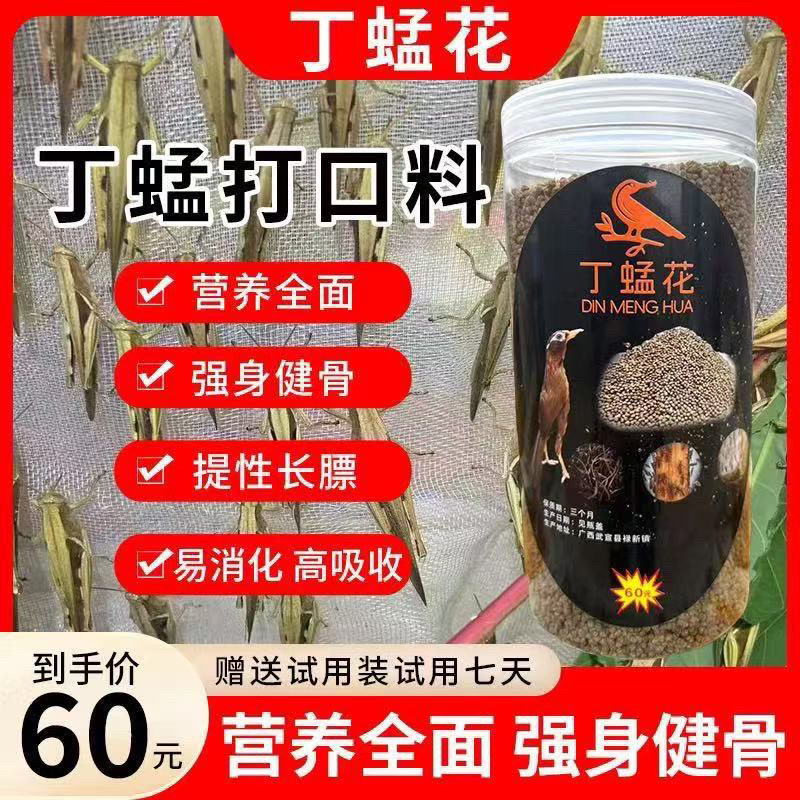 丁蜢打口料画眉鸟饲料食提性壮膘催鸣发口专用饲料顺丰包邮