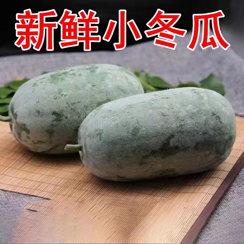 【小冬瓜】河南新鲜小冬瓜迷你小冬瓜毛冬瓜农家自种新鲜蔬菜