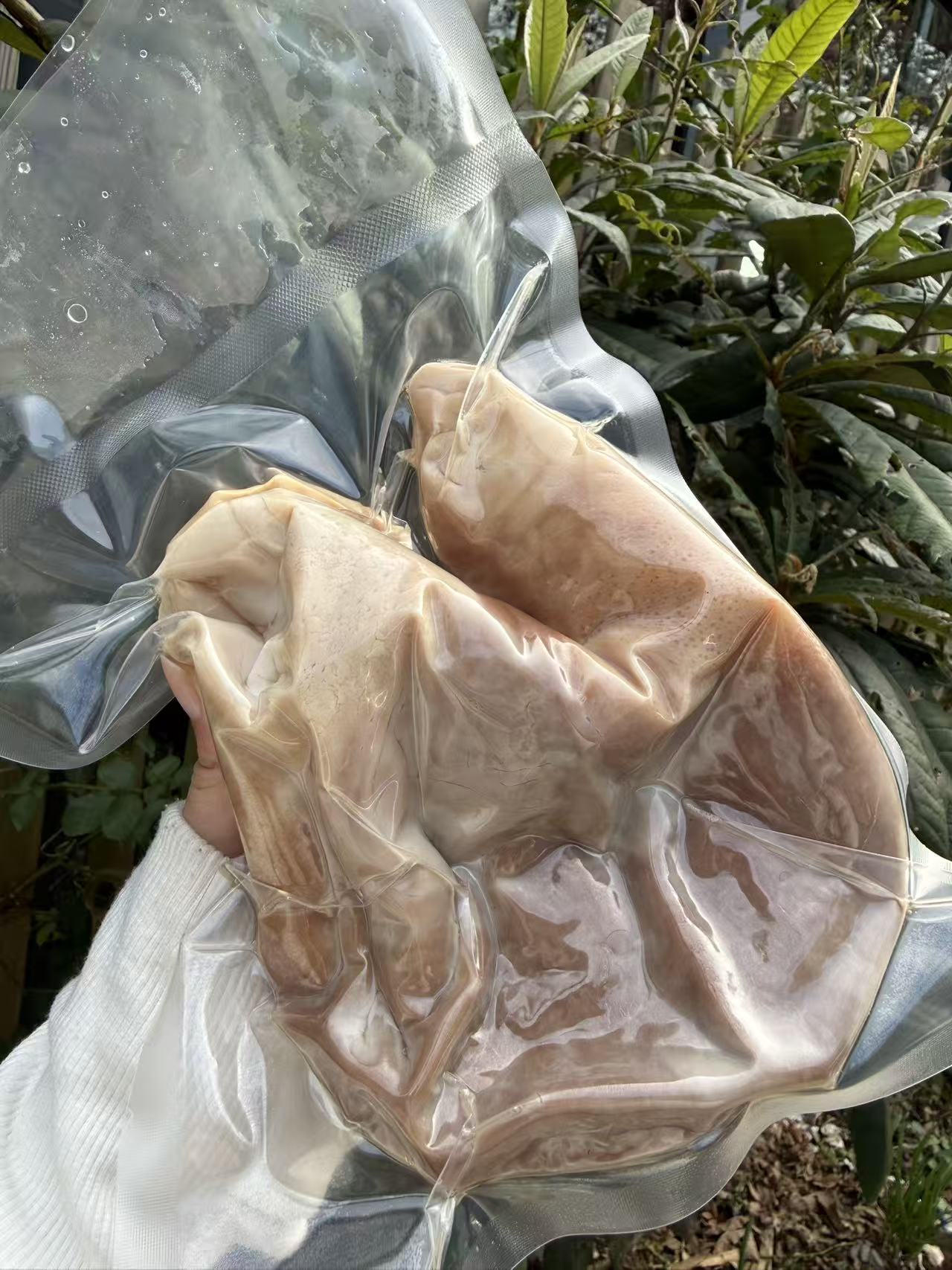成蹊家 宜兴精品猪肚 当天现杀 顺丰包邮