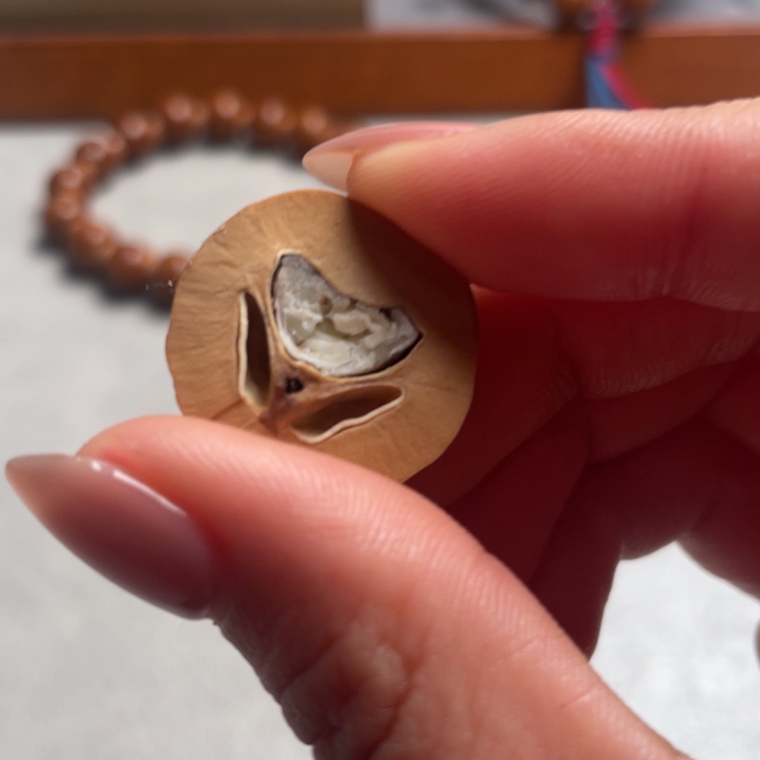 手串橄榄核?*ㅤ橄榄核1.2精品加4颗