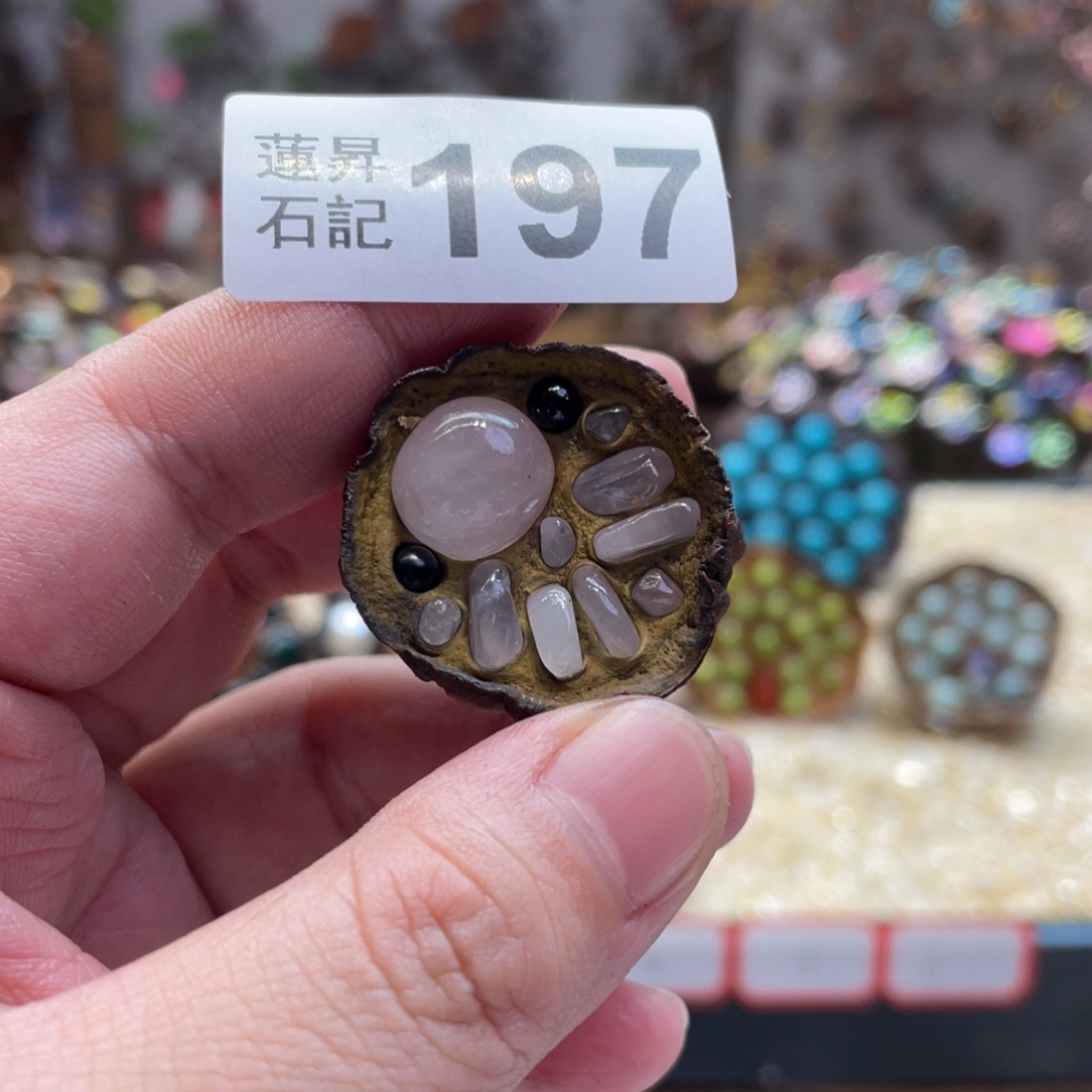 核桃木/黑胡桃（胡桃木）可**鸭197