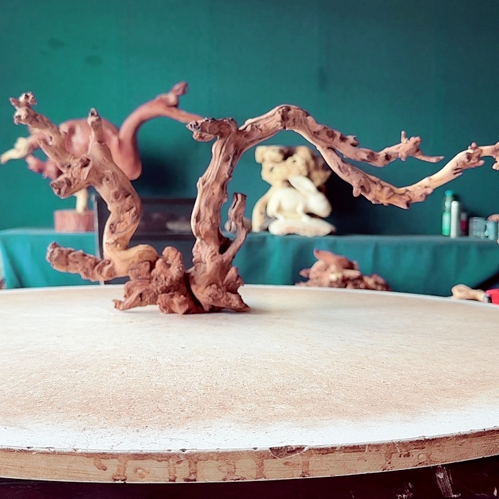 黑果木森*@634金丝红木羊蹄甲半成品