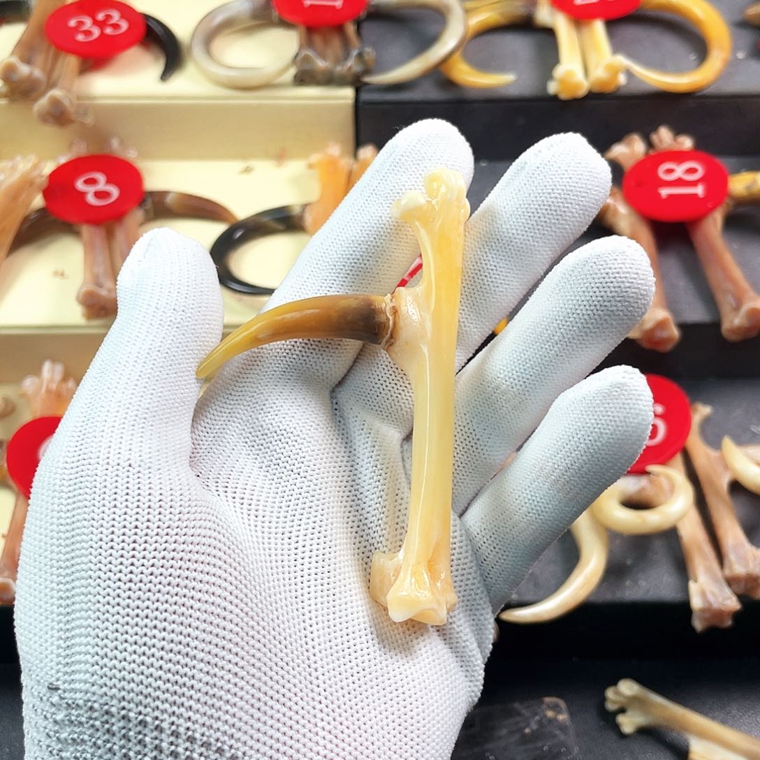 鸡骨（鸡脚）把件手把件