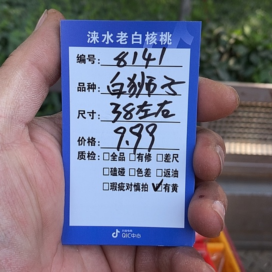 核桃手串/手链白狮子38-81411111