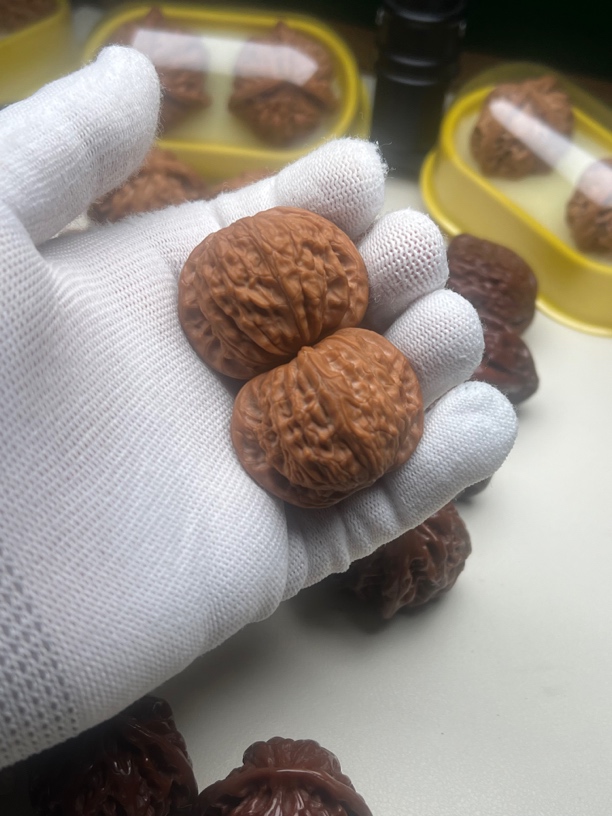 山地磨盘红皮狮子头