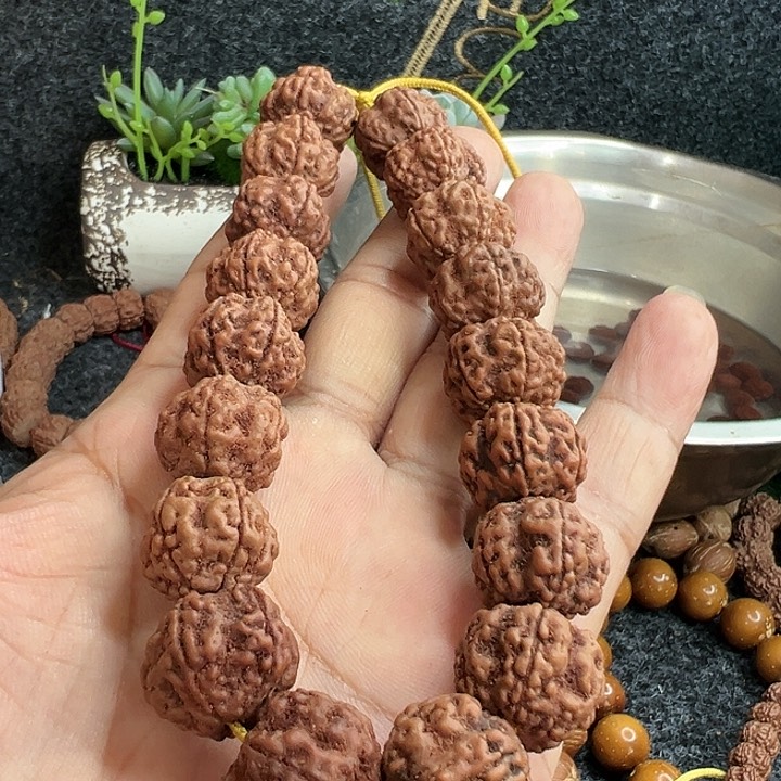 雪***心金刚菩提手串帝王花手持