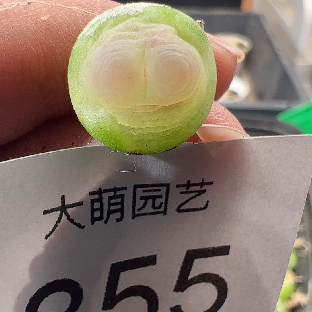 青***猫一物一拍。    855