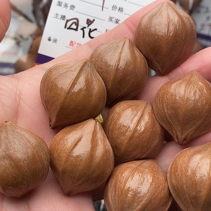 手串/手链橄榄核劣****