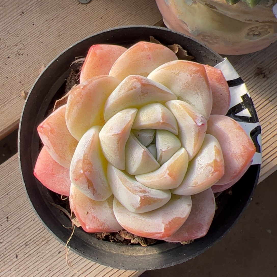 547 满38包邮一物一拍