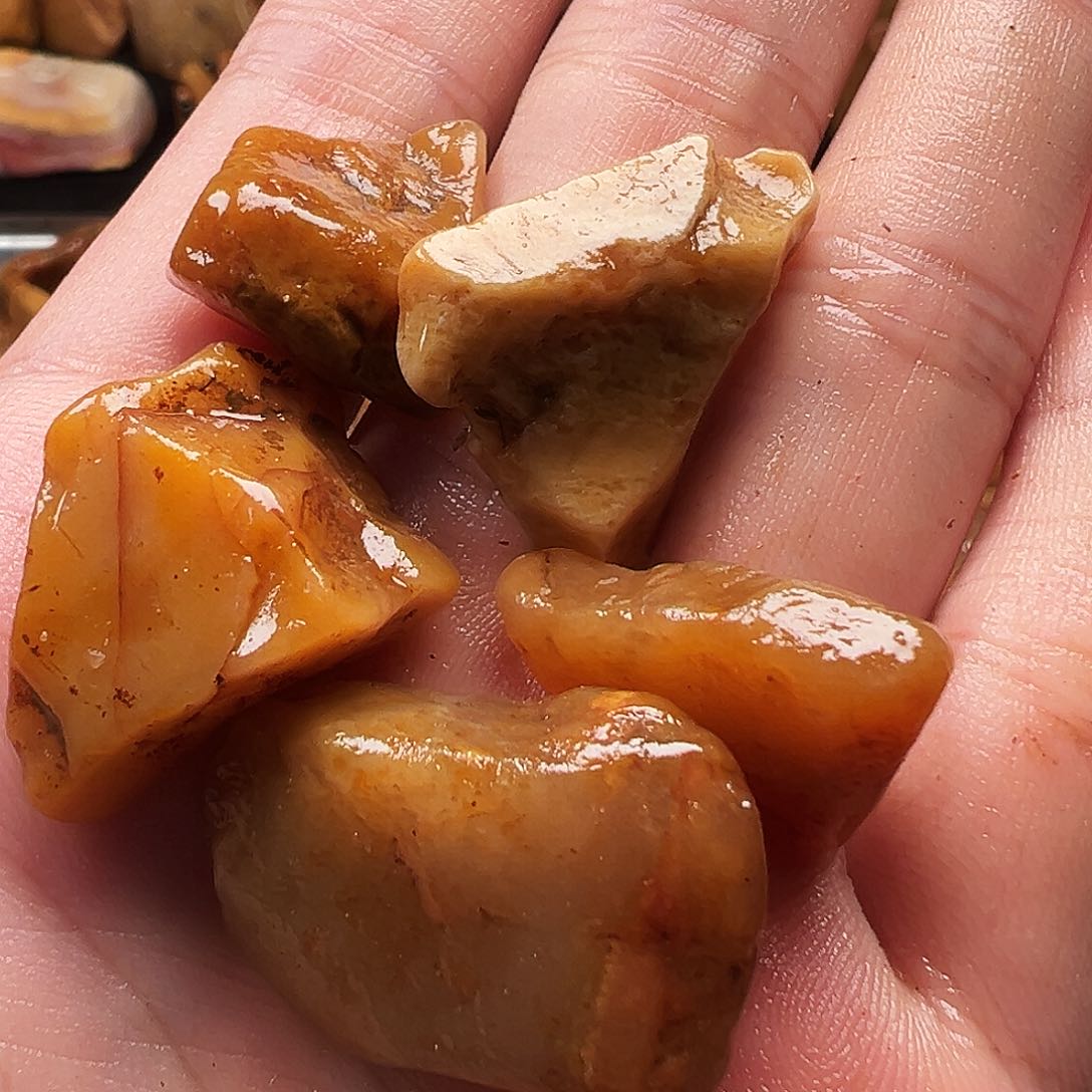 海***兵寿山石印石11111111