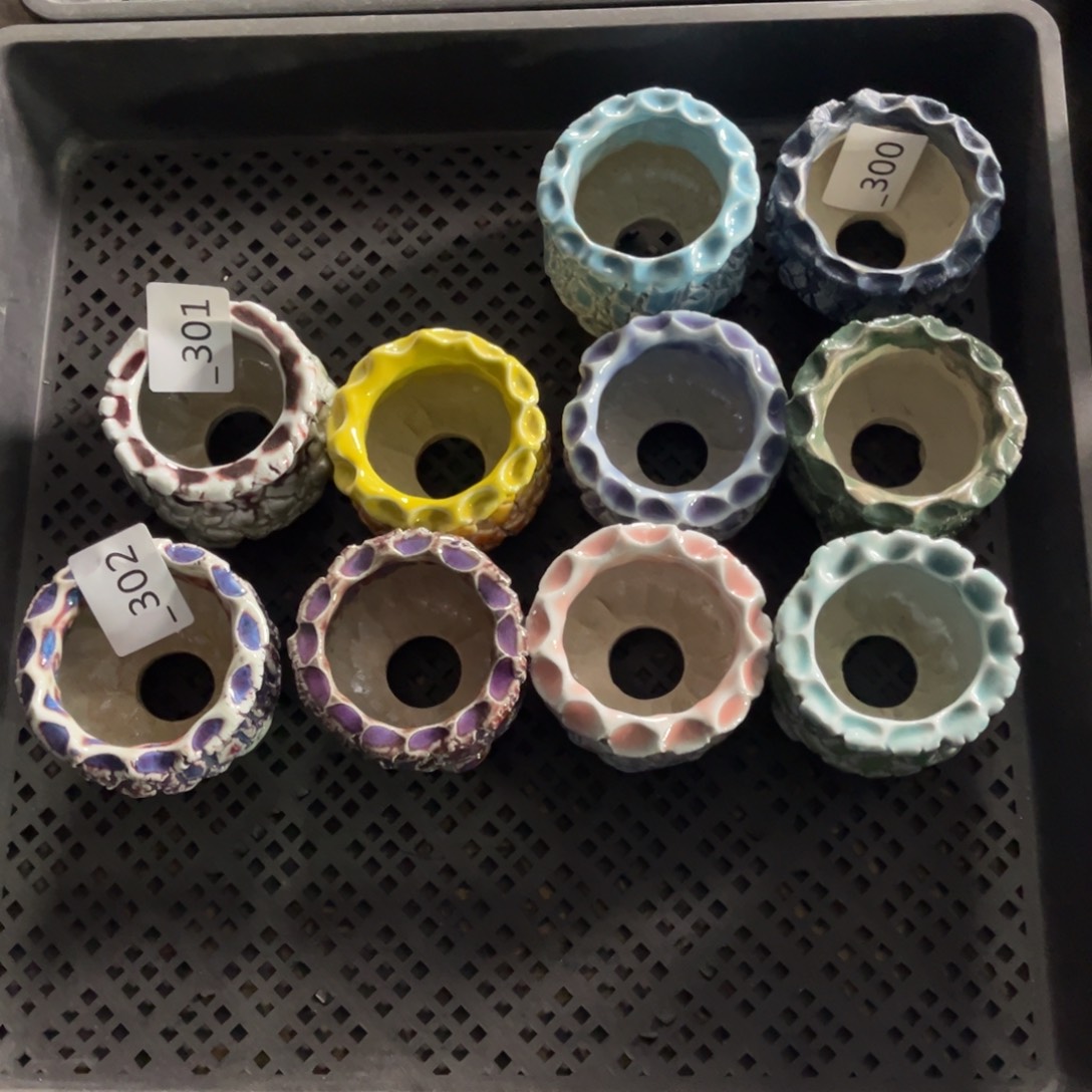 炸***多302多肉花盆4个30元