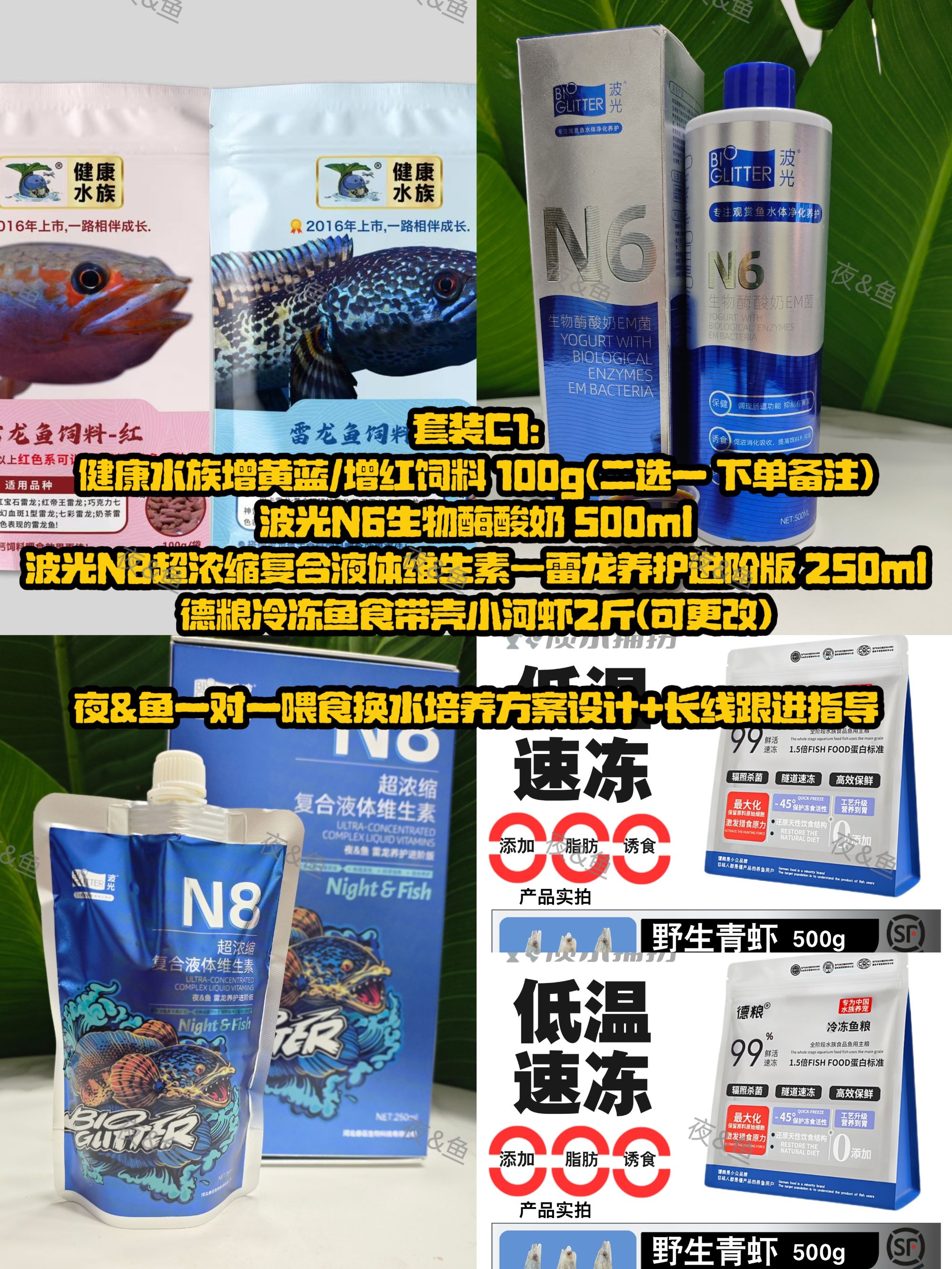 夜&鱼 雷龙鱼【发色培养】组合套装 蓝色系红色系全色系雷龙鱼发色