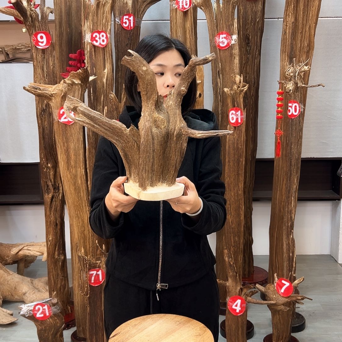 沉香摆件沉香摆件
