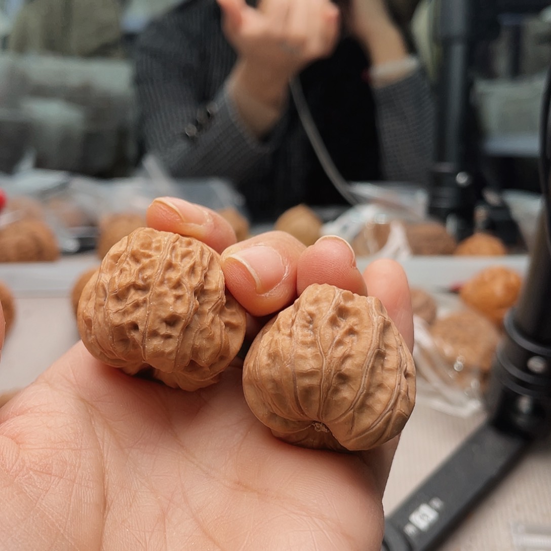 门头沟元宝全品大闸