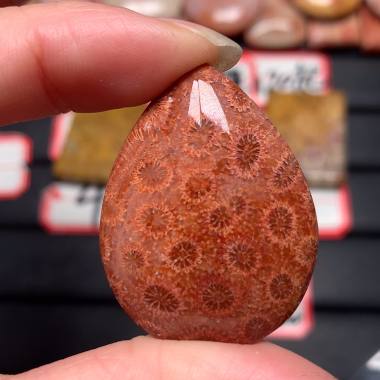 【闪购商品】硅化玉颈饰未镶嵌飞*海