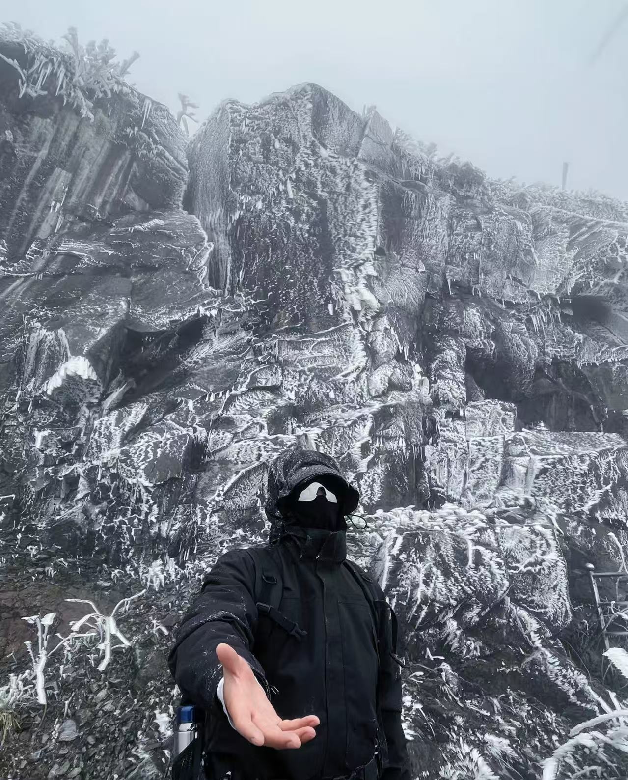 D树-冬季新款男女同款压胶锁绒连帽鹅绒服