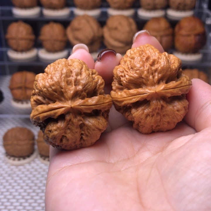 把件文玩核桃90号金蟾蛹39尺