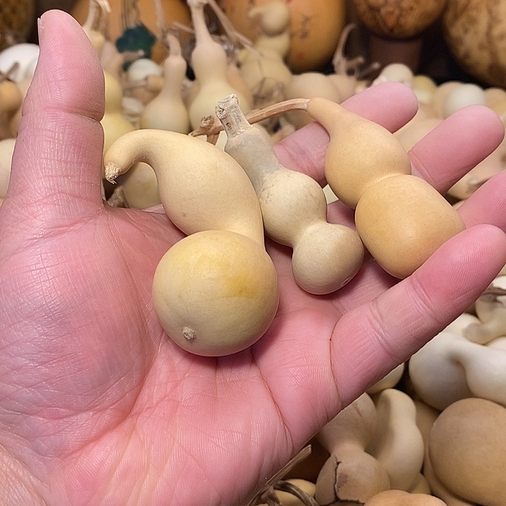 8***8精品葫芦手把葫芦160