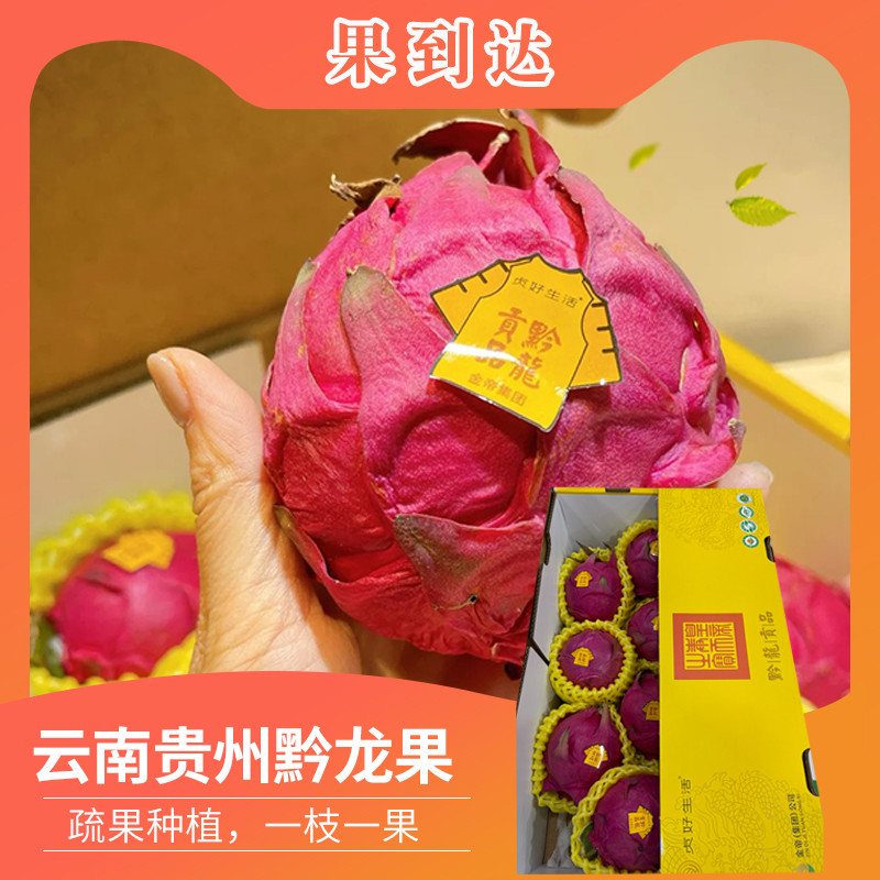 【坏果包赔】云南贵州黔龙果大果10斤10颗