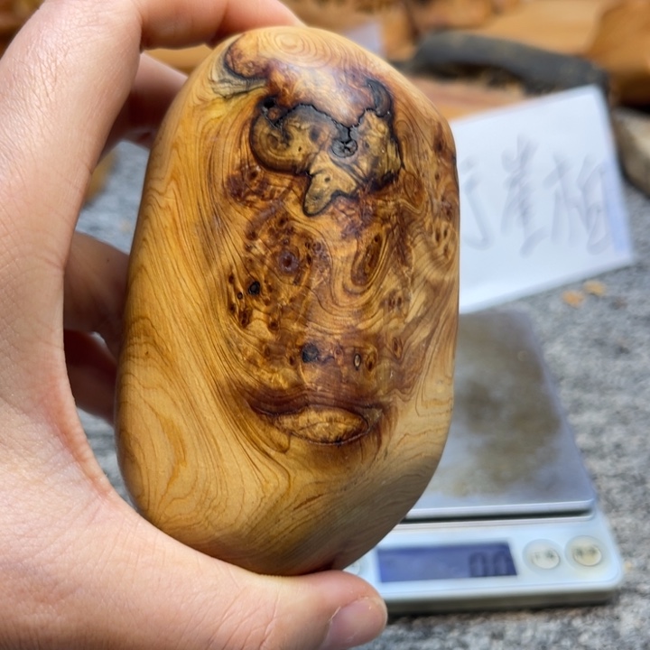 柏木（崖柏）崖柏162