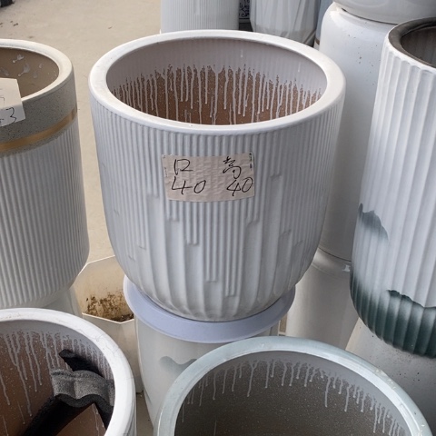 低腰白钢琴特大 口40/40