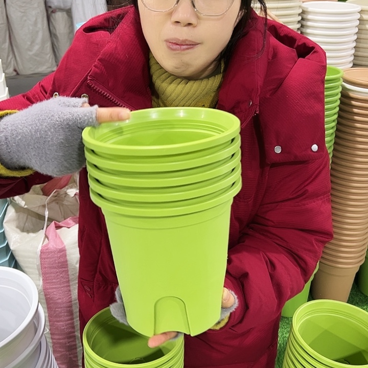 清仓圆控口18高18果绿色无托5只