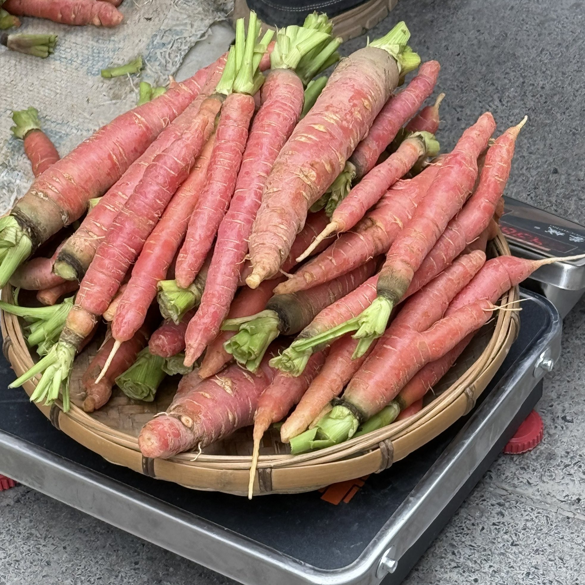 湖南湘西农家自种高山胡萝卜本地带泥新鲜现发