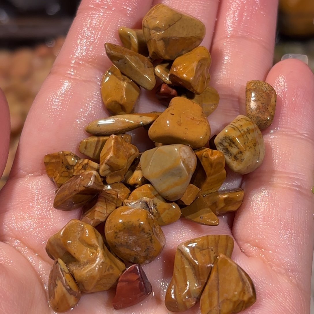 宠物龟不分公母造景木纹石帮助乌龟发色2斤