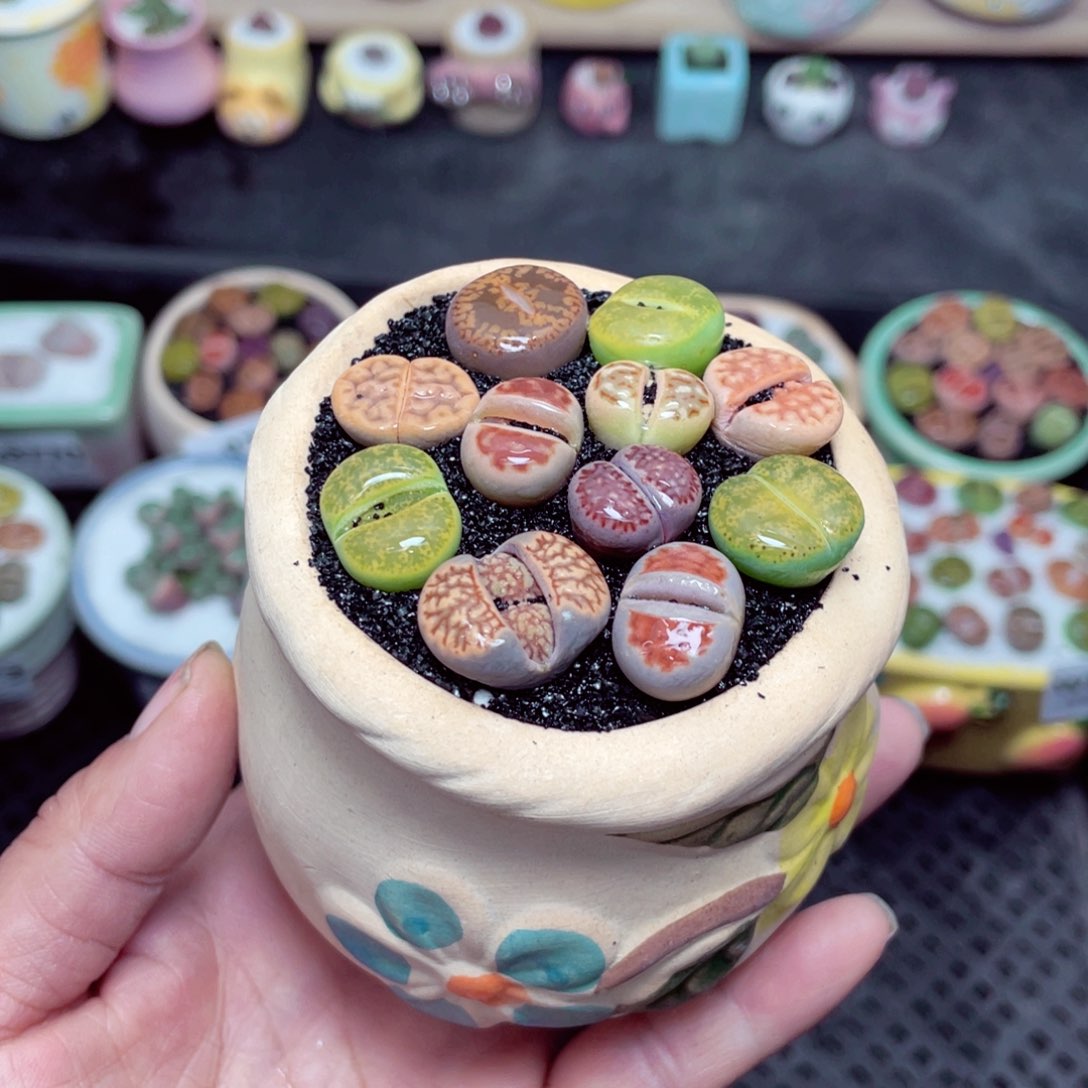 w8774 带盆土发货-零下地区拍保温箱