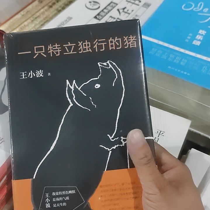 王小波一只特立独行的猪