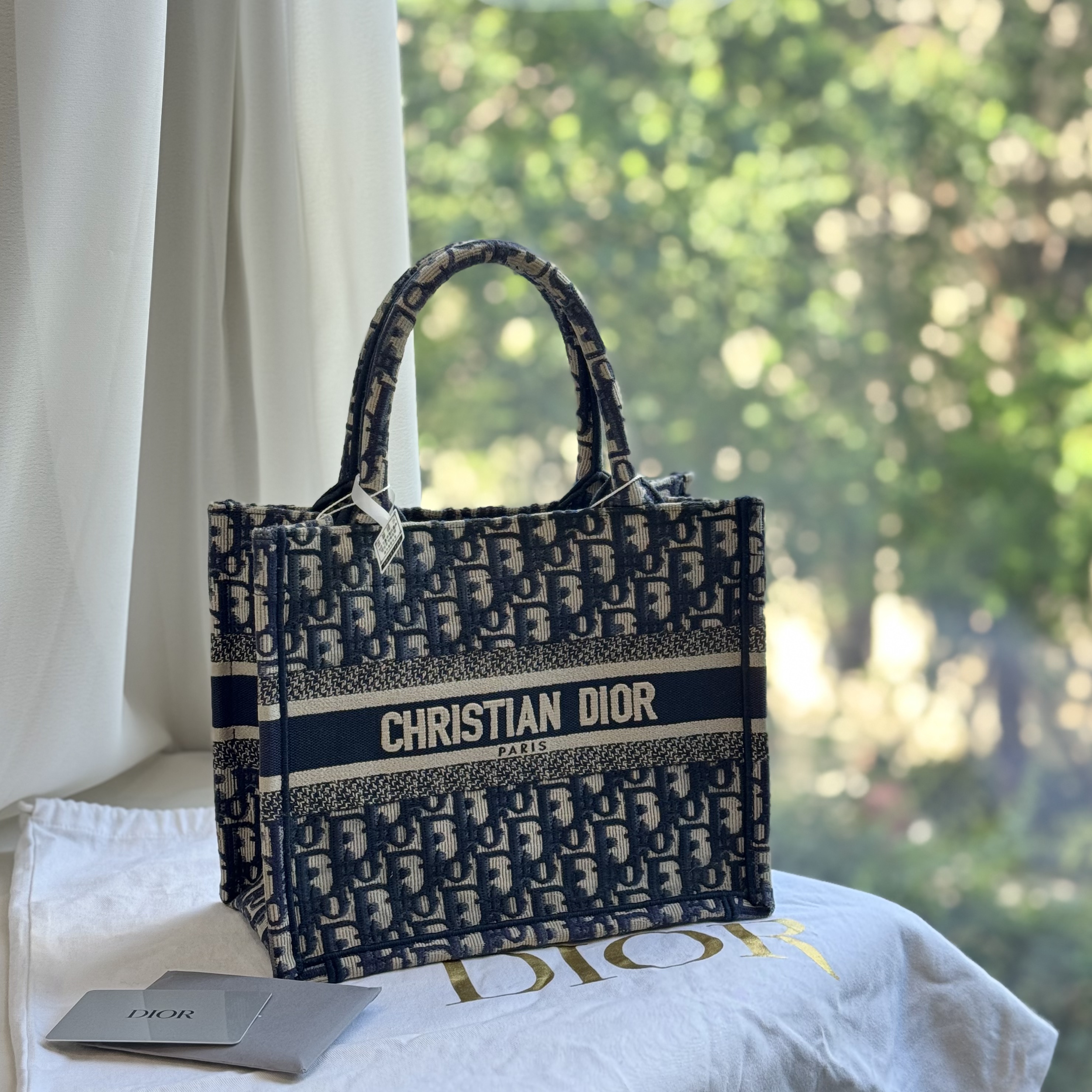 95新 DIOR/迪奥 Book Tote 老花小号托特包 22年芯片