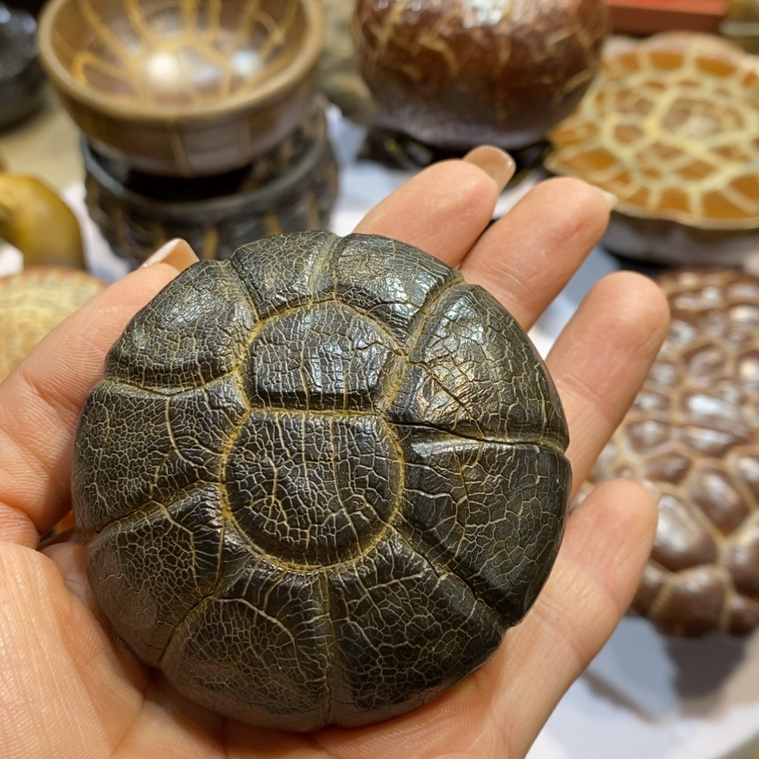 1***哥羊羔毛龟纹石原产地直播