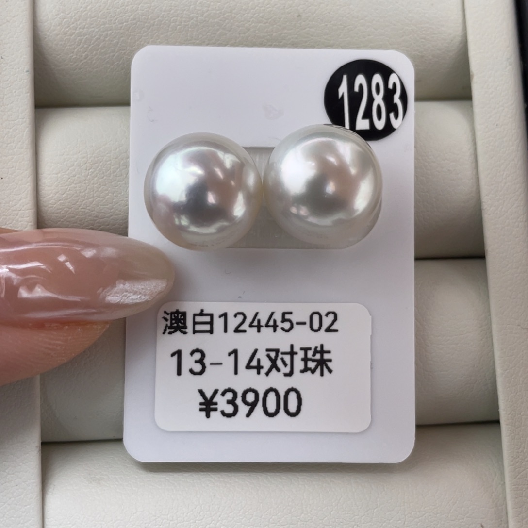 定制海水珍珠未镶嵌耳饰澳白13-14mm