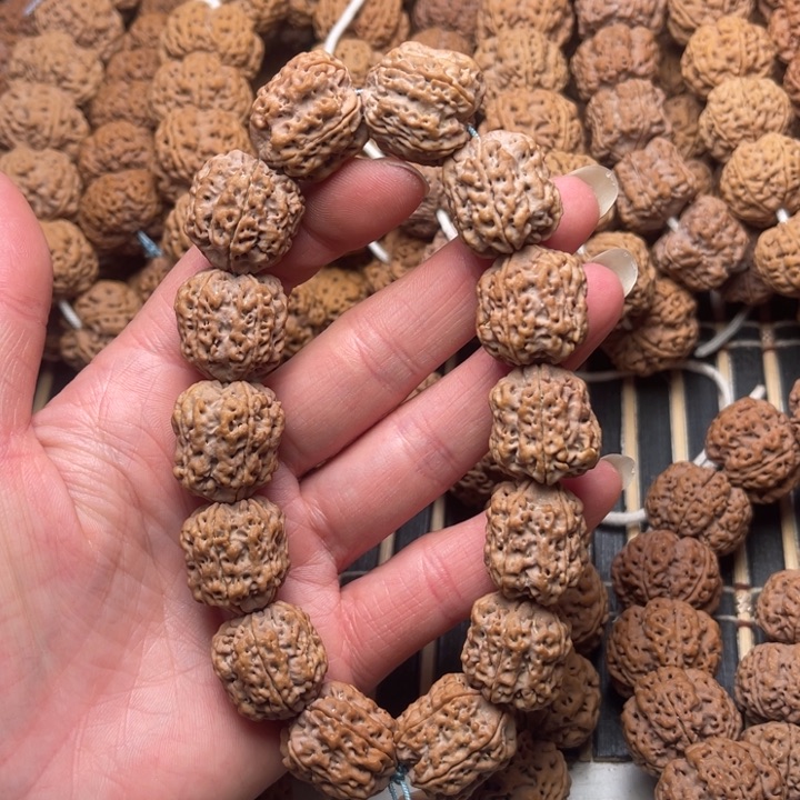 菩提尼泊尔大金刚夹板花生