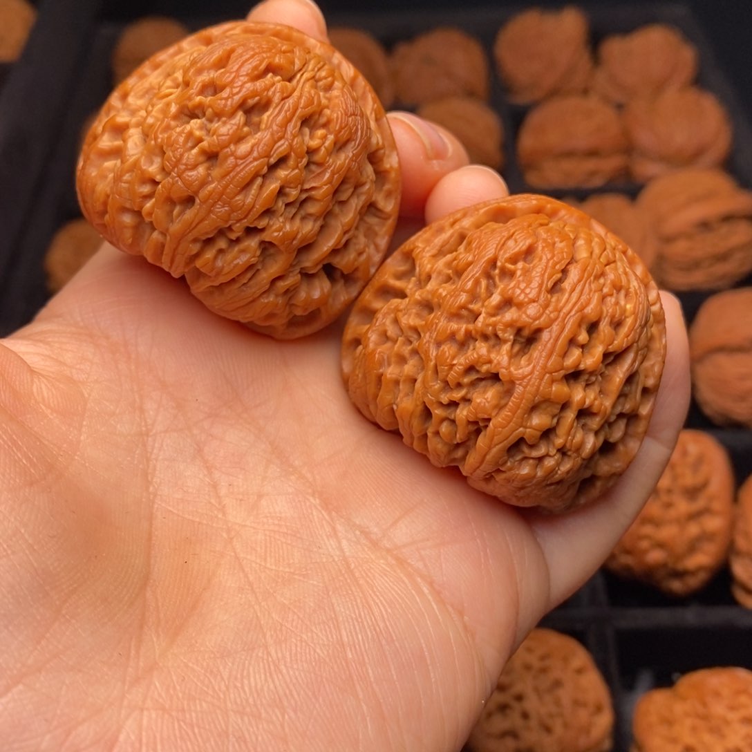 文玩核桃把件秦岭野生核桃