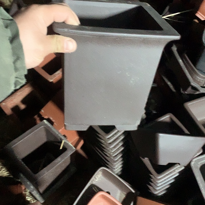 紫砂你就知道这就是为什么