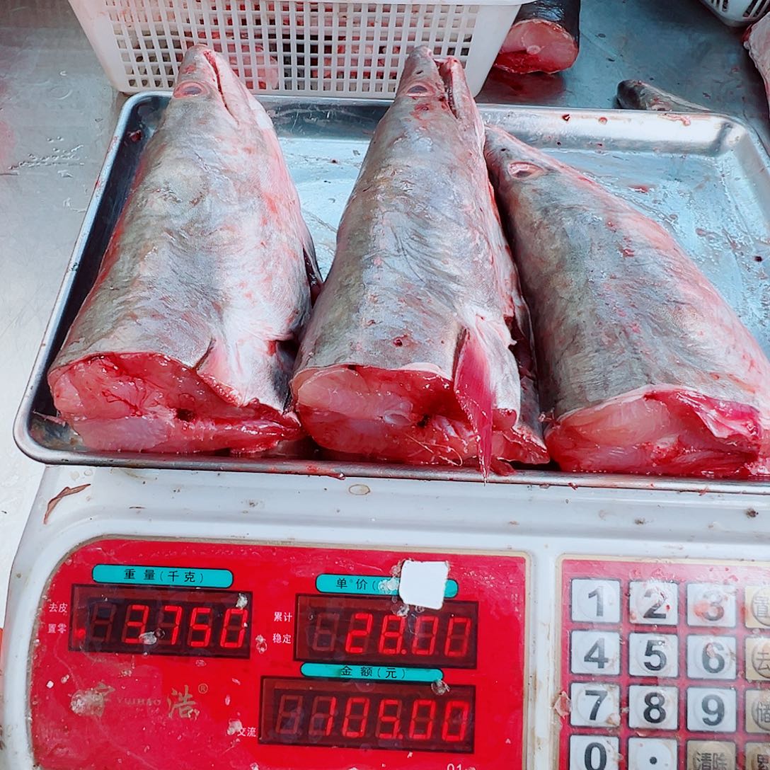 中国大陆三个鳗鱼头