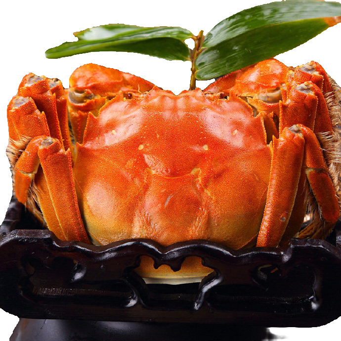 【活蟹现货】苏州鲜活河蟹全母蟹3.1-2.8两8只加2只共10只