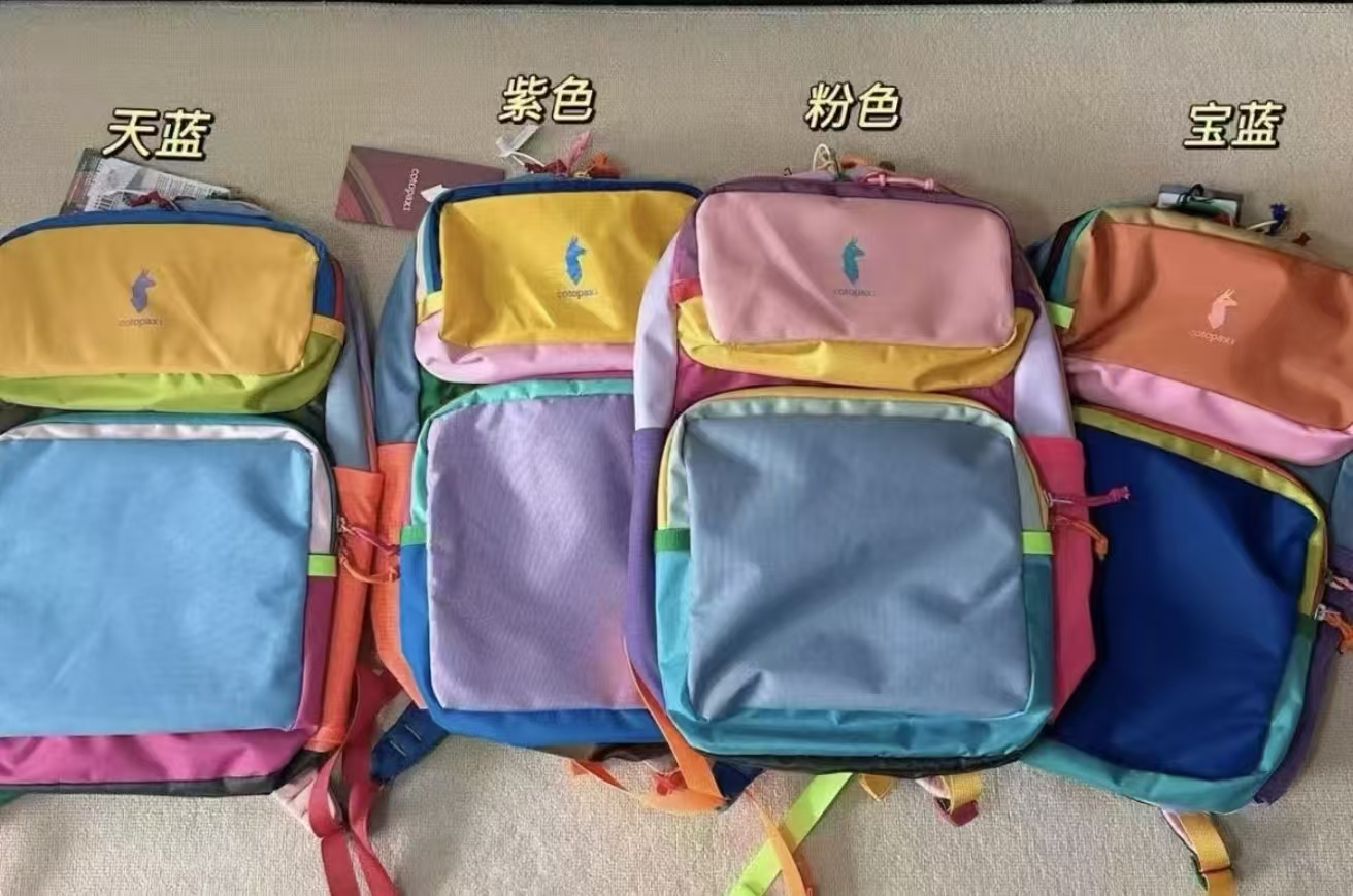 驼家印花韩版紫色护肩双肩防撞简约女童双根登山包耐磨