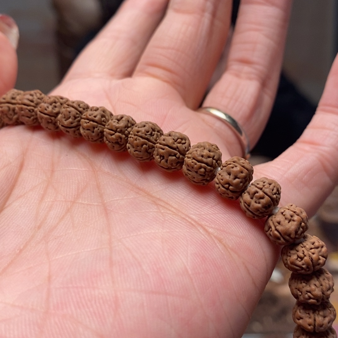 我***我菩提籽类老树王长串